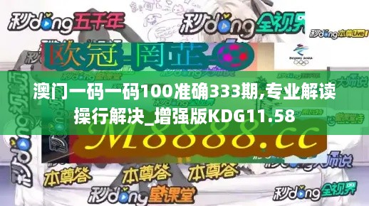 澳门一码一码100准确333期,专业解读操行解决_增强版KDG11.58