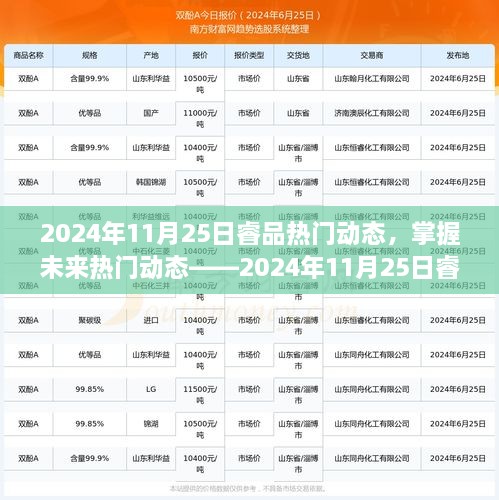 掌握未来趋势，睿品动态探索指南——2024年11月25日热门动态速递