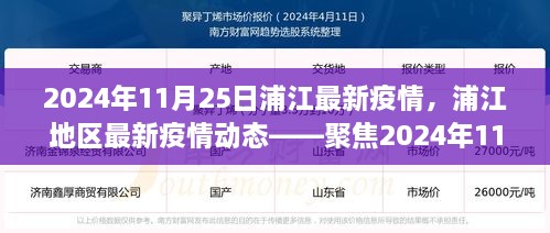 2024年11月25日浦江地区疫情动态，防控进展与科普解读