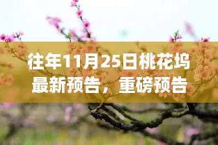 往年11月25日桃花坞全新篇章重磅预告即将绽放