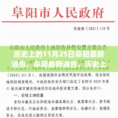 历史上的11月25日与阜阳最新通告，科技巨擘重塑生活体验日