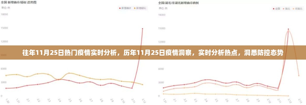 历年与即时洞察，11月25日疫情深度分析与防控态势实时观察