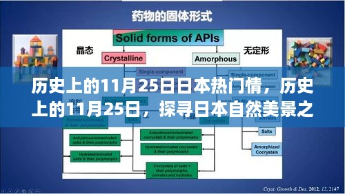 探寻日本自然美景之旅，历史上的11月25日与日本情感之旅的宁静与平和