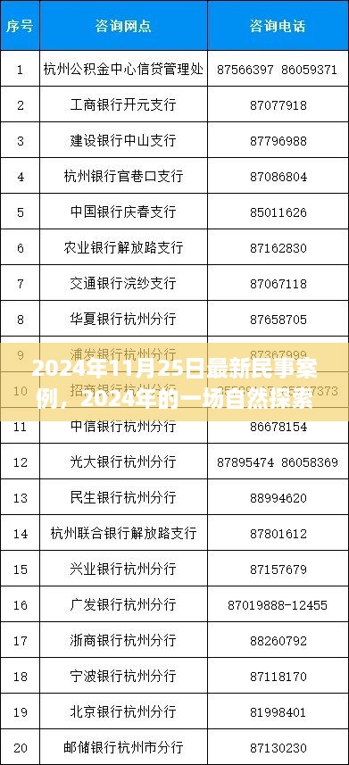 民事案例背后的心灵之旅，自然探索之旅的启示（2024年最新案例）