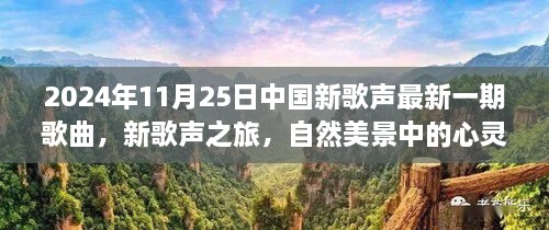 心灵和弦的共鸣，2024年11月25日中国新歌声之旅的自然美景启示