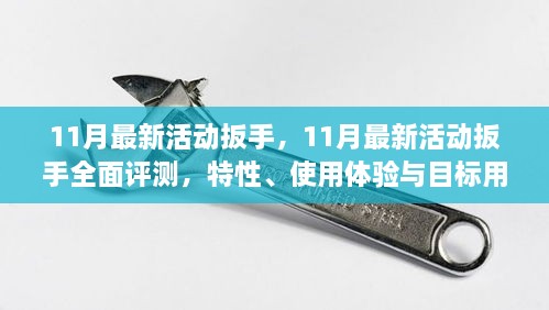 11月最新活动扳手全面评测，特性、使用体验与目标用户群体深度解析