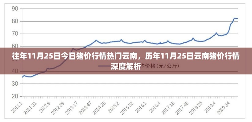 历年11月25日云南猪价行情解析与深度探讨