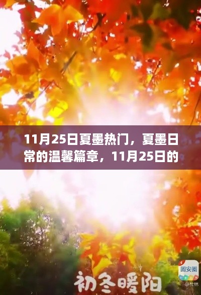 夏墨日常，11月25日的暖阳时光与温馨篇章