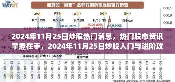 2024年11月25日股市热门消息及入门进阶攻略