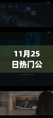 11月25日热门公开视频在线观看，全面评测与介绍