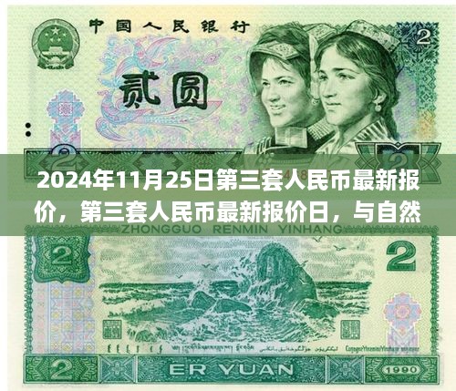 第三套人民币最新报价与邂逅自然美景之旅，2024年11月25日行情概览