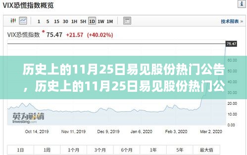 历史上的11月25日易见股份热门公告揭秘，重大事件一览