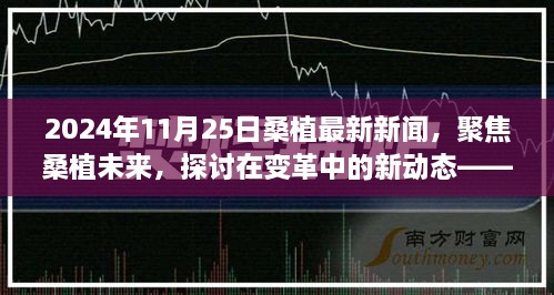 变革中的新动态，聚焦桑植未来——2024年11月25日桑植最新新闻视角