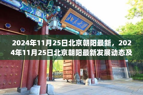 2024年11月25日北京朝阳最新发展动态与前景展望