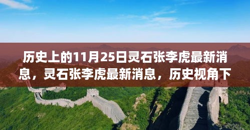 历史视角下的灵石张李虎，最新消息深度解读与观点阐述