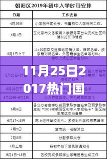 2017年热门国税政策详解与操作指南，适合初学者与进阶用户的学习指南（11月25日更新）