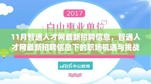 11月智通人才网最新招聘信息，职场机遇与挑战一览