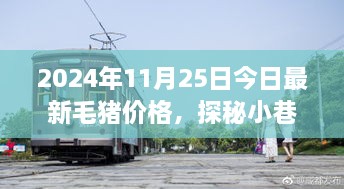 毛猪价格揭秘与小巷特色小店的幕后故事，2024年最新资讯，今日探秘之旅