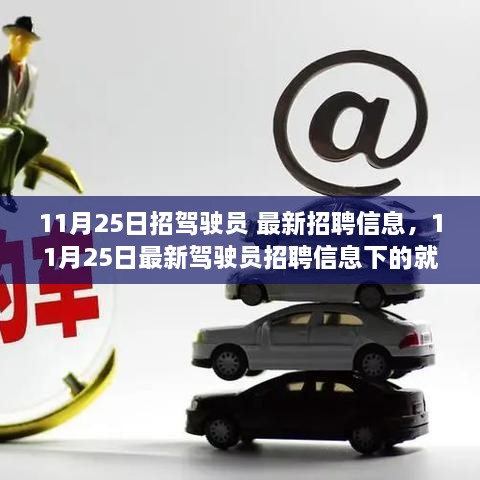 11月25日驾驶员最新招聘信息，就业机遇与挑战一览