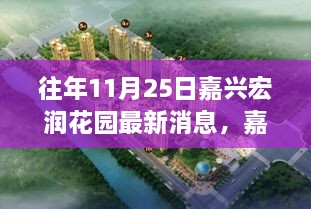 嘉兴宏润花园最新消息解读，深度剖析三大要点回顾往年11月25日动态