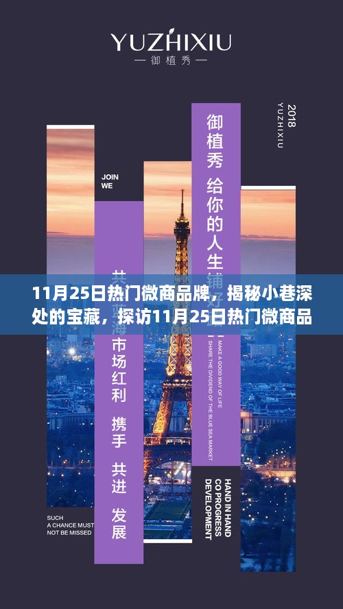 探访某巷特色小店，揭秘热门微商品牌宝藏之旅（11月25日热门推荐）