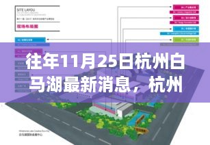 往年11月25日杭州白马湖最新消息，杭州白马湖，十一月二十五日的最新篇章