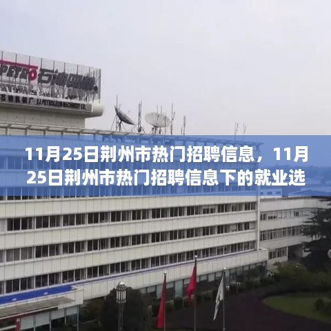 11月25日荆州市热门招聘信息，11月25日荆州市热门招聘信息下的就业选择，机遇与挑战并存