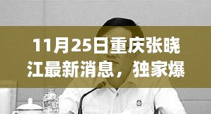 重庆张晓江最新动态揭秘，11月25日独家爆料，瞬间惊艳！