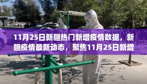 新疆疫情最新动态，聚焦11月25日新增数据的影响与启示