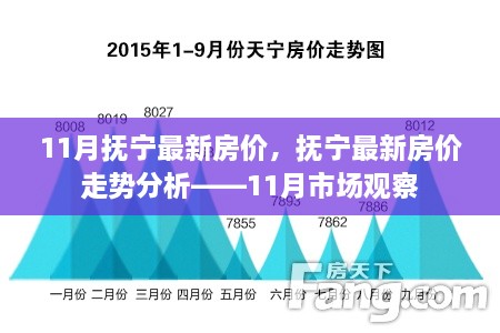 抚宁最新房价动态及走势分析，11月市场观察报告