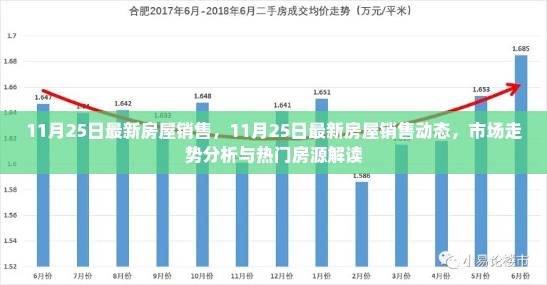 11月25日最新房屋销售动态及市场走势分析与热门房源解读