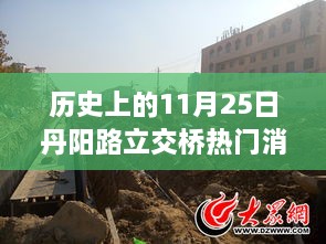 历史上的11月25日丹阳路立交桥热门消息，丹阳路立交桥，回望历史上的这一天，深度解析其特性、体验与竞品对比