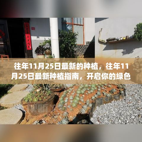 往年11月25日最新的种植，往年11月25日最新种植指南，开启你的绿色生活之旅