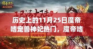 魔帝嗜宠兽神妃，深度测评与介绍——历史上的11月25日热门话题