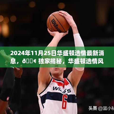 2024年11月25日华盛顿选情最新消息，📢 独家揭秘，华盛顿选情风云变幻，最新消息一网打尽！🔍 2024年11月25日选情深度解析