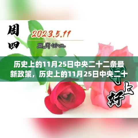 历史上的11月25日中央二十二条最新政策，历史上的11月25日中央二十二条最新政策深度解读