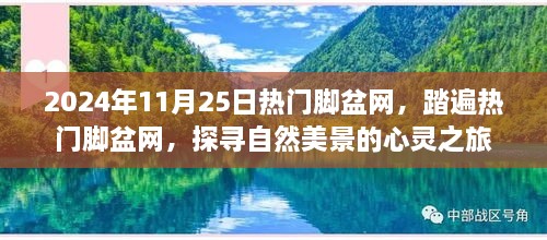 探寻自然美景的心灵之旅，热门脚盆网之旅（2024年11月25日）