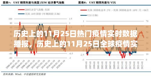 历史上的11月25日疫情实时数据播报，全球疫情回顾与洞察