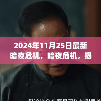 揭秘，2024年11月25日暗夜危机的背后故事与影响揭秘