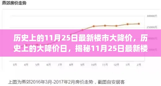 历史上的11月25日最新楼市大降价，历史上的大降价日，揭秘11月25日最新楼市降价真相