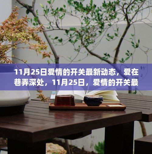 11月25日爱情的开关最新动态，巷弄深处的浪漫绽放