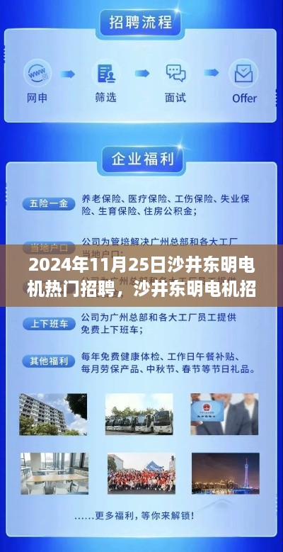 沙井东明电机招聘日，友情与梦想的交响，热门职位等你来挑战