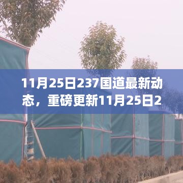 11月25日237国道最新动态全解析，路况、施工及出行指南