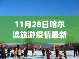 疫情下安全游哈尔滨，最新旅游指南与实用建议（初学者与进阶用户适用）