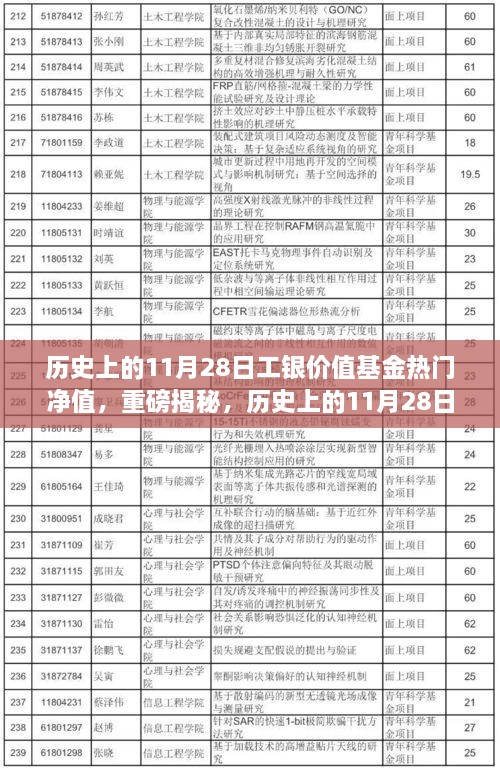 揭秘，历史上的工银价值基金净值飙升背后的故事——聚焦11月28日热门净值日解密