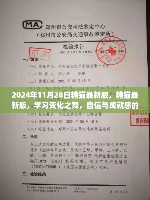 2024年11月28日糖猫最新版，糖猫最新版，学习变化之舞，自信与成就感的魔法之旅