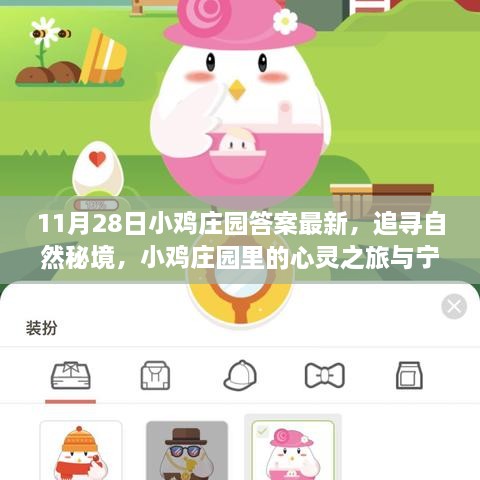 11月28日小鸡庄园答案最新，追寻自然秘境，小鸡庄园里的心灵之旅与宁静的拥抱