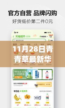 涉黄警告，11月28日青青草最新华人免费资源获取指南及全攻略