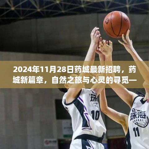 2024年11月28日药城最新招聘，药城新篇章，自然之旅与心灵的寻觅——2024年11月28日招聘之旅启程啦！