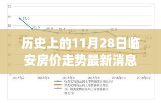 历史上的11月28日临安房价走势深度解析，背景、事件与地位及其最新消息